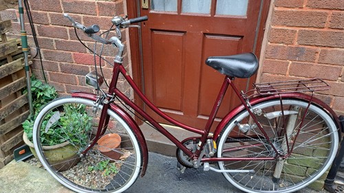 Ladies large framed raleigh - large,