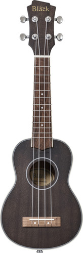 Adam black electric acoustic - adam,