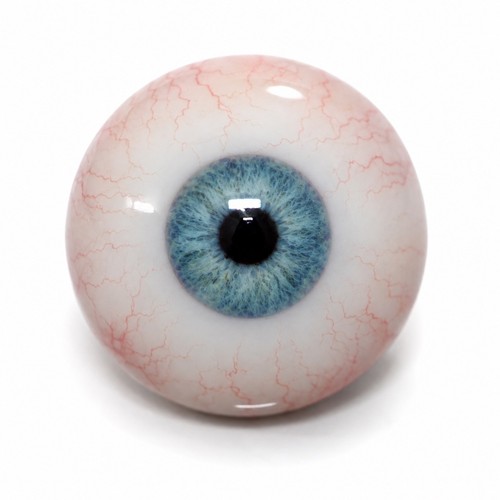 Realistic blue human eyes - blue,