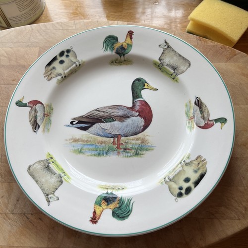 Vintage farmyard mallard duck - mallard,