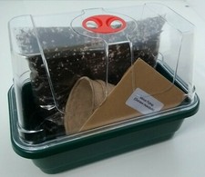 Carnivorous VENUS FLY TRAP GROWING KIT * Seeds & Compost * Everything You Need *