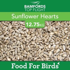 Bamfords Sunflower Hearts