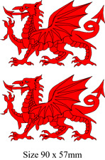 Welsh Dragon NESSA Gavin &