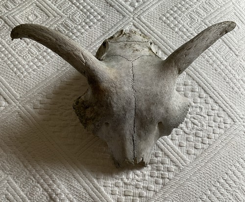 Upper section ram s - upper, a