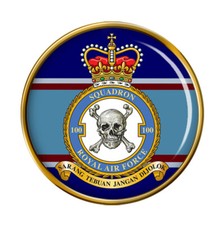 100 Squadron, RAF Pin Badge