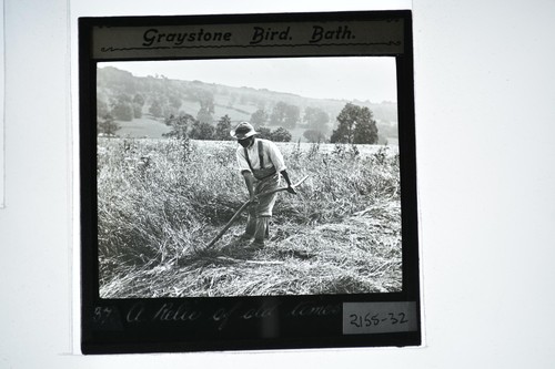 Man scything field - field, relic