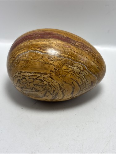 Polished petrified wood stone - wood,
