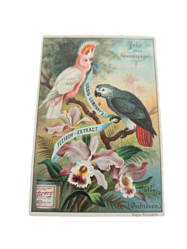 Antique liebig trade - liebig, card