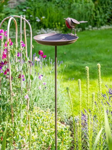 Robin bird bath - robin, on