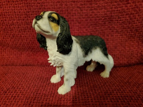 Tri colour king charles - king,