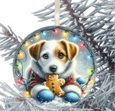 Jack Russell Dog Hanging