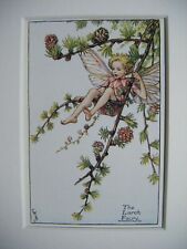 Vintage Flower Fairies Print &