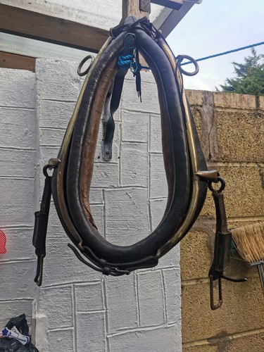 Horse collar vintage leather - horse,