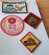 Scout badges