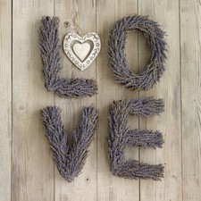 Howard Shooter Canvas Art Photography Prints Love Flowers Large Range