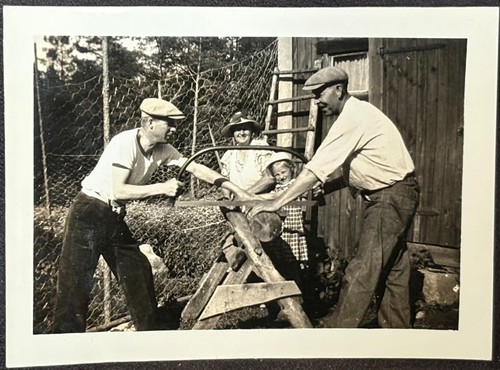 Two men use raker tooth - use,