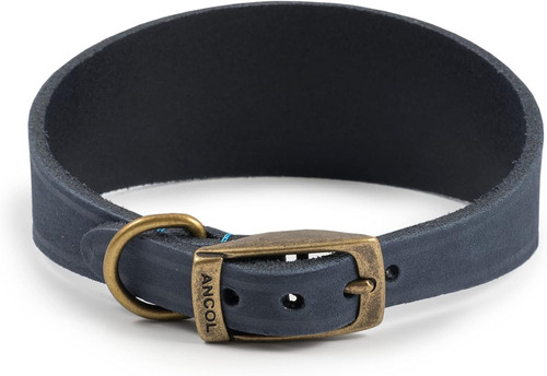 Whippet leather dog - whippet,
