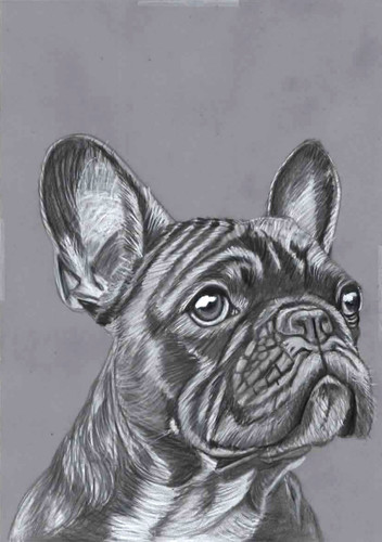 Original pencil drawing - b&w,