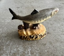 Shad - The Anglers Showcase Collection - Danbury Fishing Angling (Not A Book)