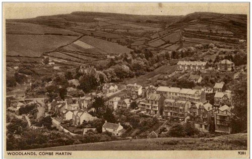 Combe martin woodlands - martin,