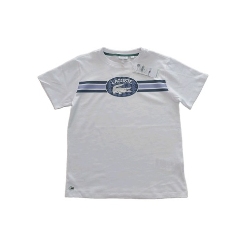 Lacoste 14a teenage boy - 14a,