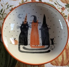 A Cute Cat Moon Witch Mouse