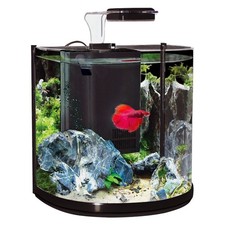Aqua one betta tank - tank, bt10
