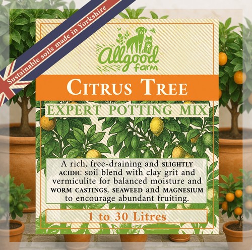 Citrus tree expert potting - expert,