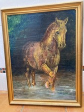 Chestnut Horse Wading Through
