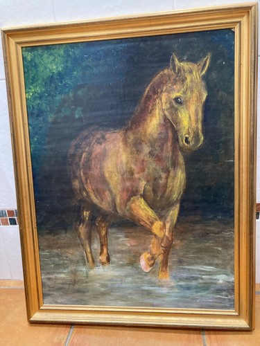 Chestnut horse wading through - wading,
