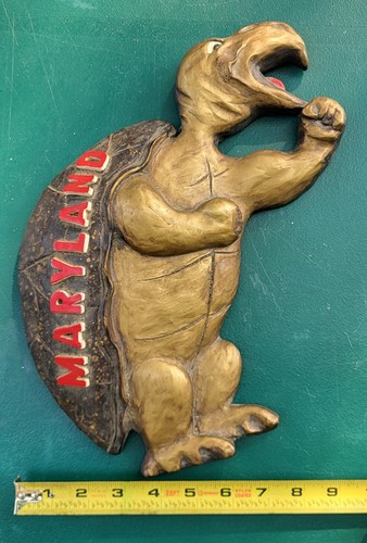 Maryland terrapins mascot - maryland,