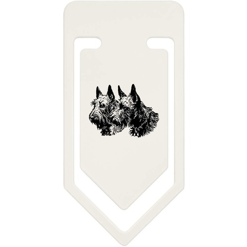 Scottish terrier couple - terrier, couple'