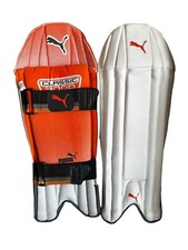 Puma wicket keeping - wicket, pads