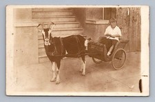 Antique young boy in goat cart