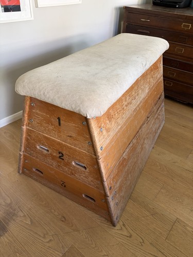 Vintage mid century school - vintage, gym