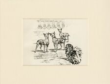 CHINESE CRESTED & PEKINGESE DOGS OLD 1934 MOUNTED DOG ART PRINT by PERSIS KIRMSE