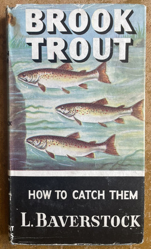 Brook trout how - -, catch