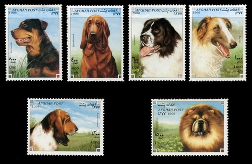 Rottweiler borzoi bloodhound - rottweiler,