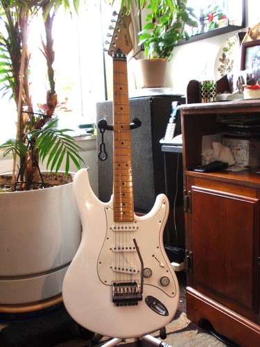 1981 peavey falcon made - /82,