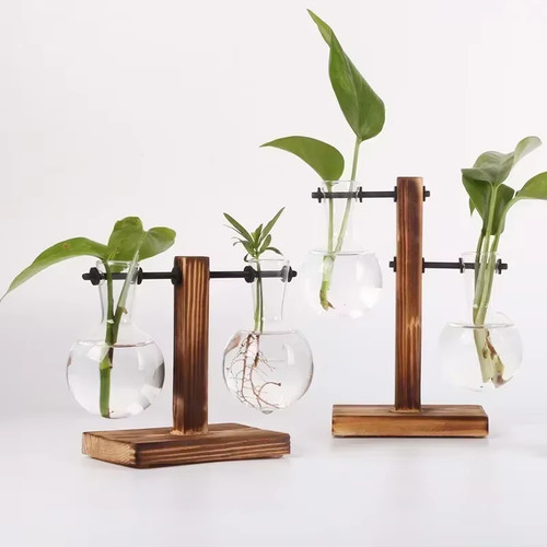 Glass hydroponic plant - hydroponic,