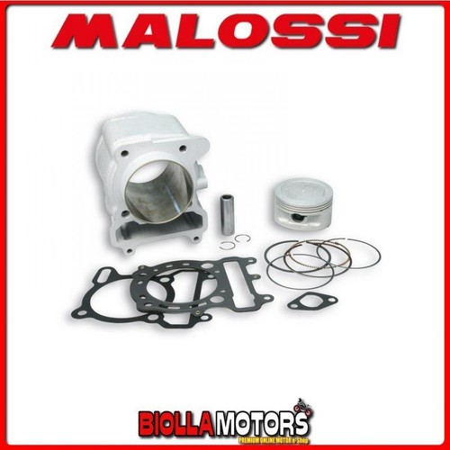 319578 cylinder kit malossi - 319578,