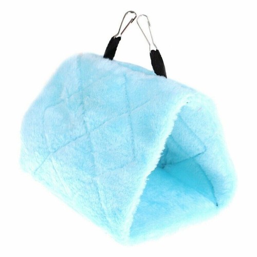 Pet bird warm - pet,