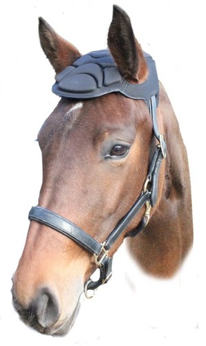 New woof wear poll - new, guard