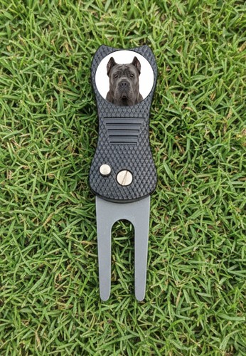 Blue gray cane - corso, dog