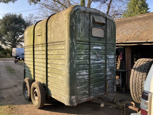 Rice horsebox horse - rice,