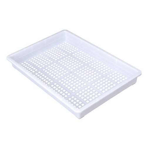 Hydroponic nursery tray - nursery,