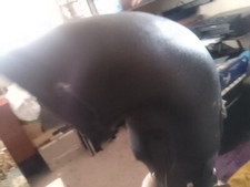 Land Rover 4x4 Raised Air Intake Top End Cap