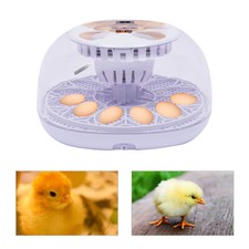 Egg incubator digital - 12,
