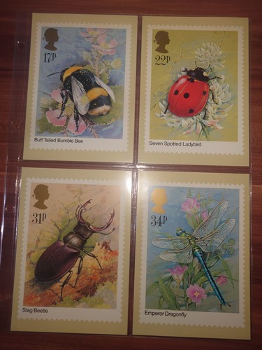 Vintage wildlife art - art, postcards