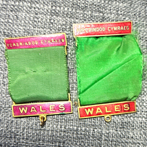 Vintage wales green ribbon - 2,